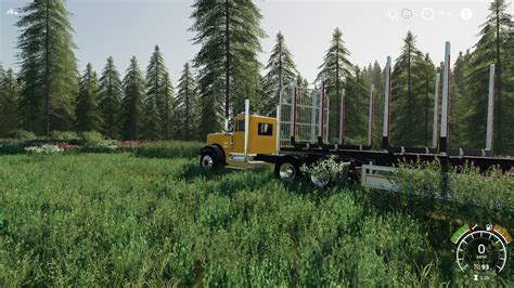 Carte Denregistrement Forestière Bear Rock V10 Fs19 Mod Fs25 Mods