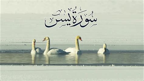 Зикри шом ~ Ҷомеаи Индонезия ~ Сураи Ёсин - YouTube