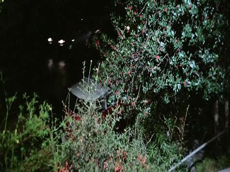 Among The Greatest Porn Films Ever Made XHamster