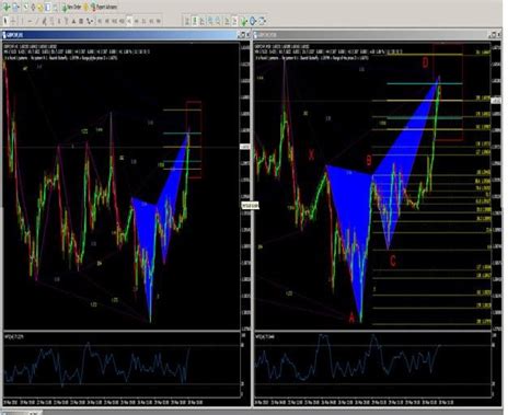 Butterfly Patterns Forex Trading System Forex Strategies Forex