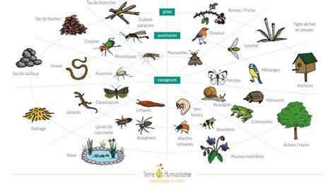 Accueillir La Biodiversit Au Jardin Formation En Agro Cologie