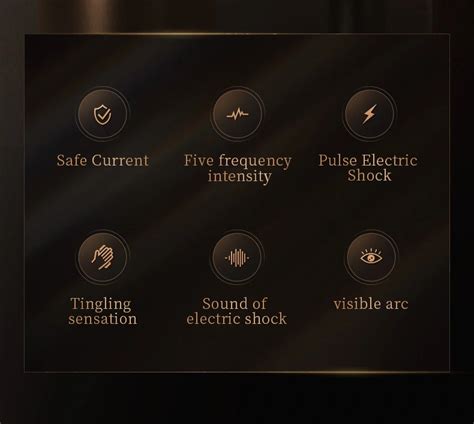 BDSM Electric Shock Rod ZW Roomfun Sex Toys Products Factory