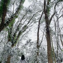 俏妞qiaoniuTT Nude Leaks 2024 Page 4 Fapopedia