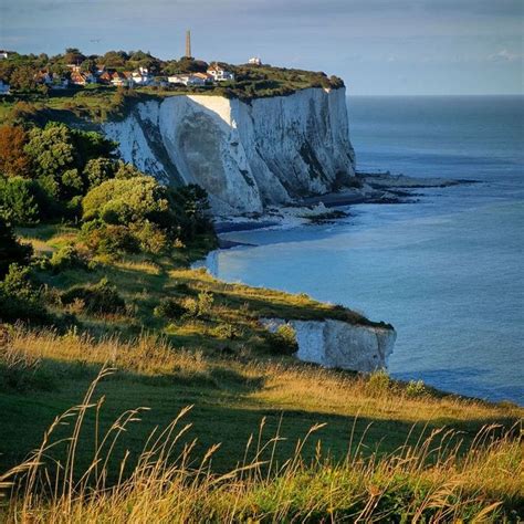 “the Area Around The White Cliffs Of Dover Supports A Rich Diversity Of