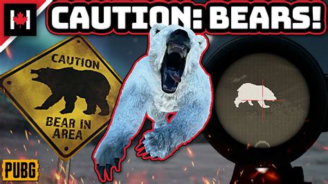 Pubg Has Bears And Thermal Scopes Youtube