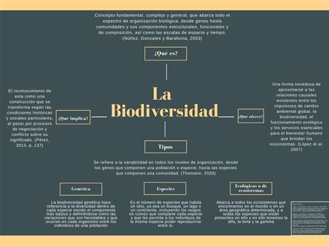 Biodiversidad Mapa Conceptual