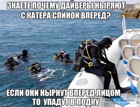 Самые прикольные картинки! / Приколы