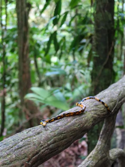 20 fun adventurous things to do in la fortuna costa rica – Artofit
