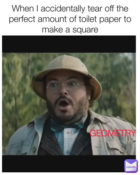 When I accidentally tear off the perfect amount of toilet paper to make