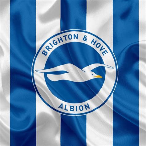 Brighton FC Pfp - Top 16 Brighton FC Pfp, Profile Pictures, Avatar, Dp ...