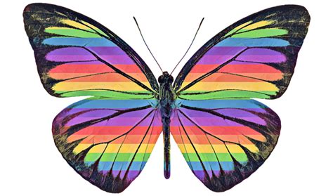 Mais De Imagens Gr Tis De Desnudos Masculinos Pene Gay E Moda Pixabay