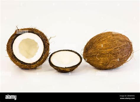 Coconut fruit (Cocos nucifera Stock Photo - Alamy