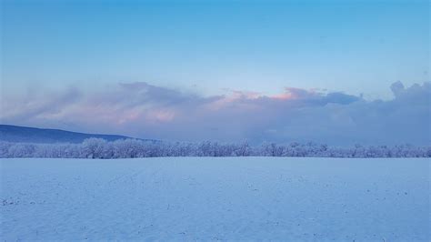 Light January Snow on Behance