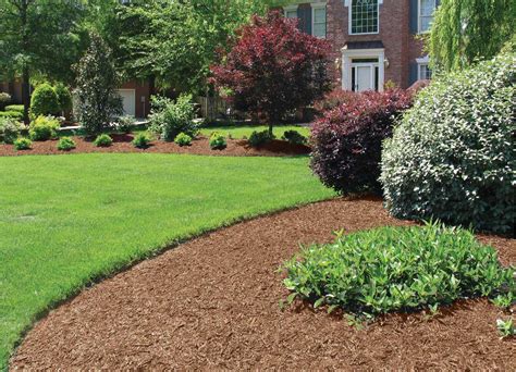 Cedar Mulch – Maple Row Farm