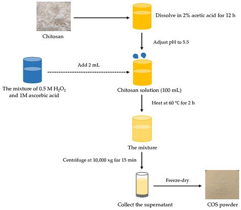 Chitooligosaccharide from Pacific White Shrimp Shell Chitosan