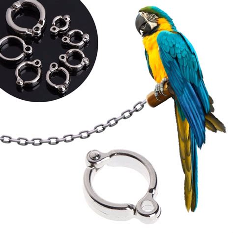 Bird Parrot Pigeon Leg Ring Bird Flying Rope Foot Rings Outdoor