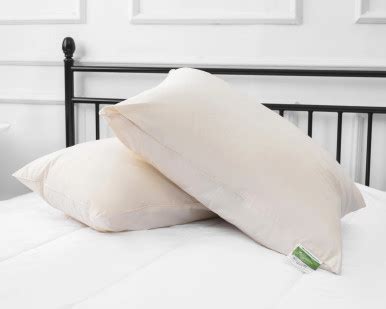 Certified Organic Cotton Pillow | The Sleep Factory