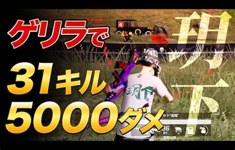 【視点有り】31キル！皇帝を生み出した最強チーム玥下の無双がえぐすぎた！！【荒野行動】（芝刈り機〆夢幻） │ 荒野行動プレイ動画アーカイブ