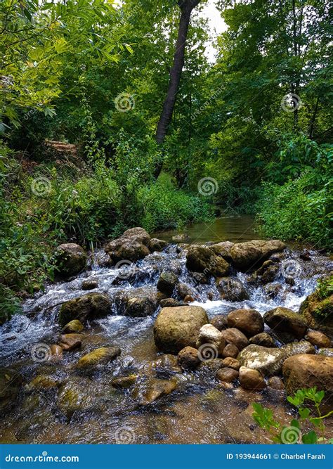 river stock image image  river green view