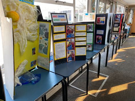 Science Fair Winners Announced - Twizel Area School
