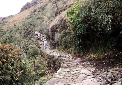 Cierran Camino Inca A Machu Picchu Por Mantenimiento Y Conservaci N