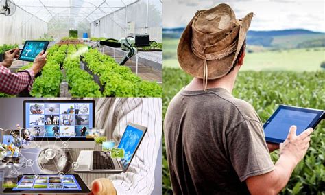 Tecnologias digitais na agricultura: a inovação está transformando o ...
