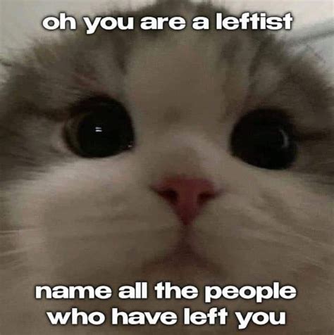 I Think I Saw A Pussy Cat Meme By Schizoidman Memedroid