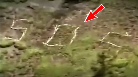 Этот снимок в джунглях напугал весь мир. Посмотрите, что обнаружили ...