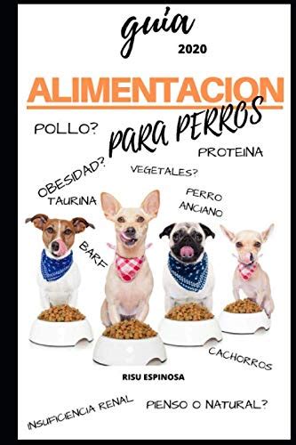 Cómo calcular la cantidad de comida diaria para perros adecuada Mi