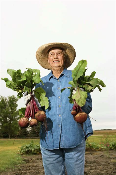How to Get Turnips to Go to Seed