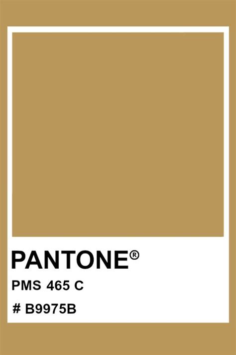 Pantone 465 C Color Palette