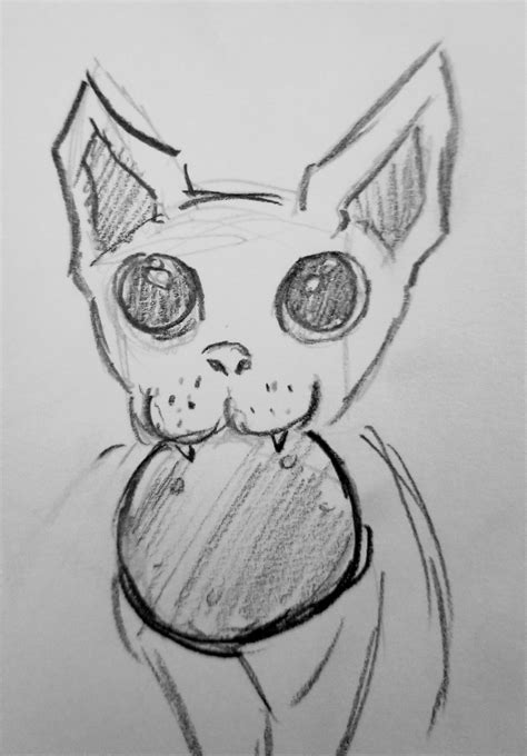 I Drew Bingus Enjoying Salami Rbingus