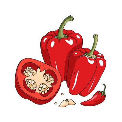 Red Chili Pepper Hot Spicy Plant Pod Paprika Cayenne With Green Stem Vector Realistic