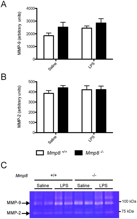 Differential Expression Of S100 Proteins Between Genotypes N Download Scientific Diagram