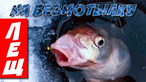 БЕЗМОТЫЛКА для Начинающих! ТОП 5 проводок на безмотылки. - YouTube