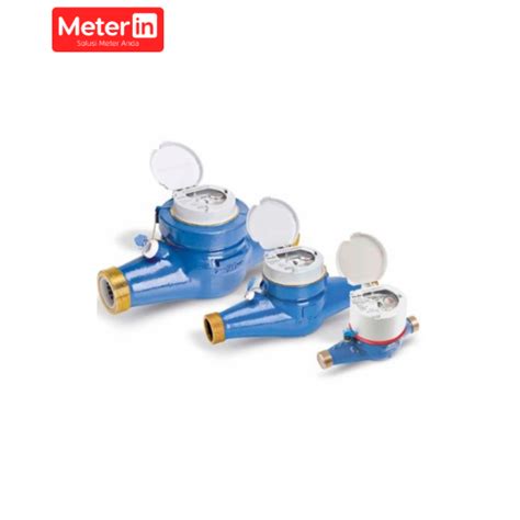 Water Meter Itron Meterin