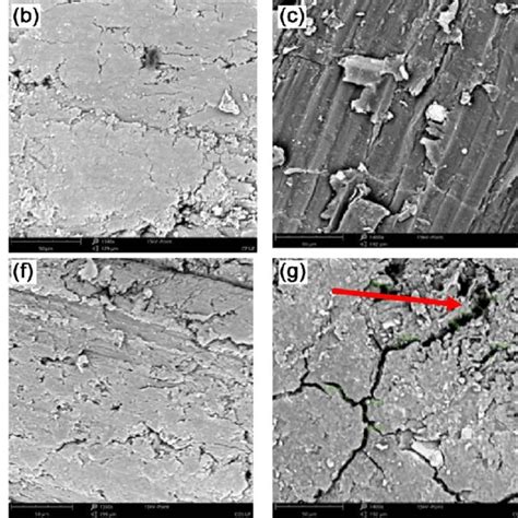 Scanning electron micrographs magnification range of 1300× to 1500× of ...