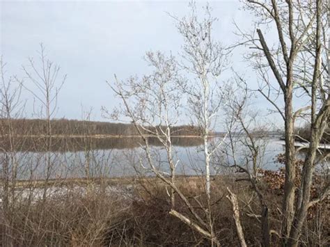 Best Hikes And Trails In West Branch State Park Alltrails