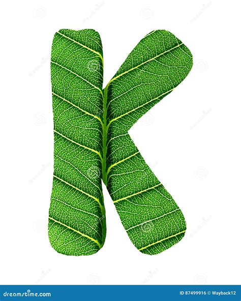 Green Leaf Texture Alphabet Stock Photo Image Of Design Sign