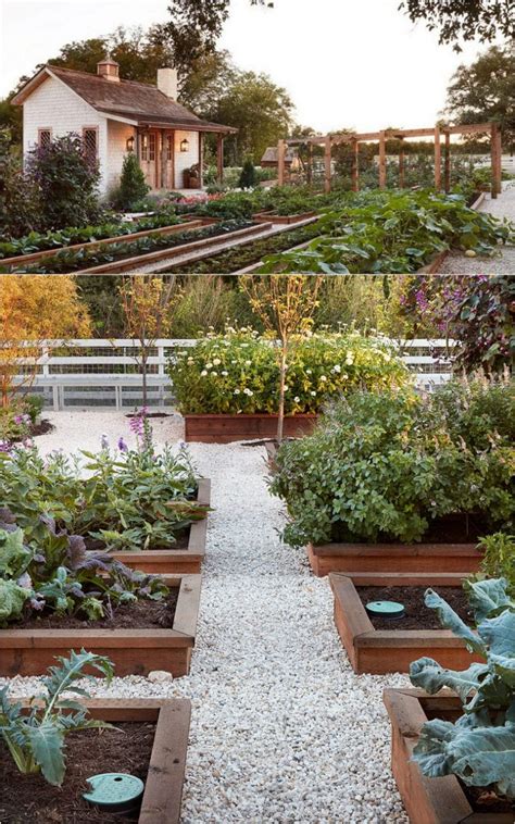 Vegetable Garden Layout 7 Best Design Secrets A Piece Of Rainbow