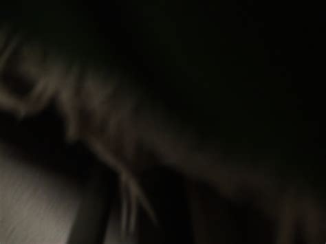 Home Sex Mature Couples