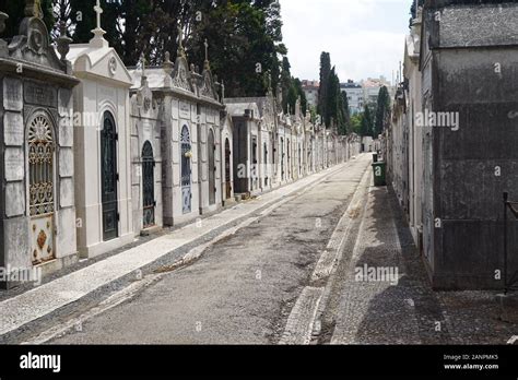 path  graveyard stock photo alamy