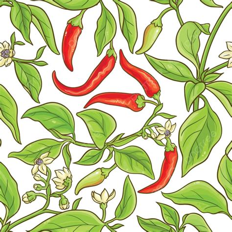 Рисунок перец чили (Много фото!) - drawpics.ru