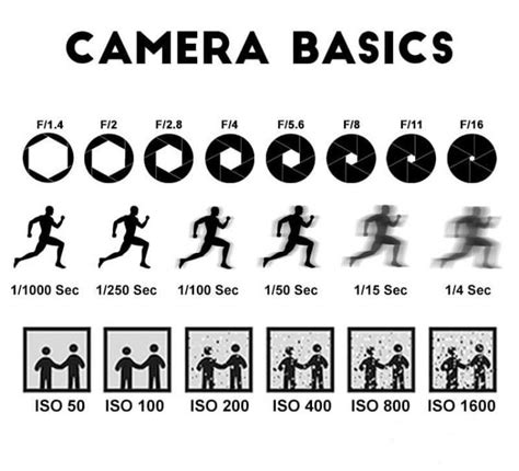 Basic Camera The Success Manual
