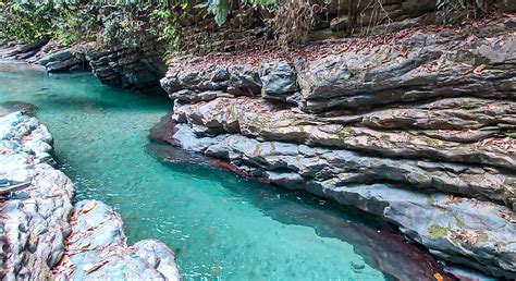 Los Corredores Monta As De Barinas