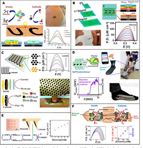 Wearable Bioelectronics Enzyme Based Body Worn Electronic Devices Semantic Scholar