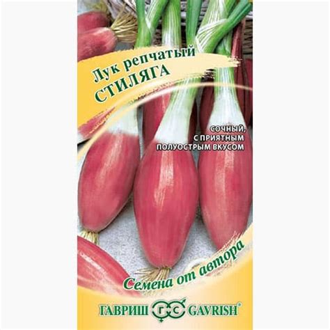Лук шалот Стиляга Гавриш (97445): купить семена почтой в Беларуси ...