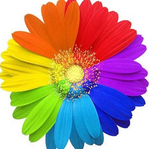 Живи счастливо