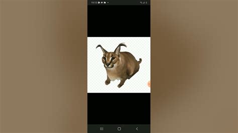 шлёпа Youtube