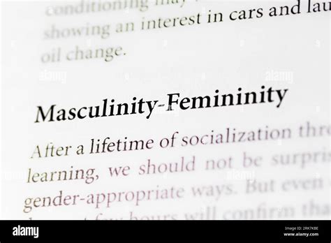 A Close Up Of Socialization Terms Masculinity And Femininity On Paper